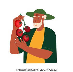 Aged Retired Farmer hold branch of fresh tomatoes vegetables.Happy farm worker with organic harvest in hands.Smiling Grand dad with organic harvest.Flat vector illustration isolated,white background
