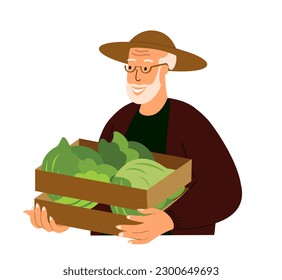 Aged Retired Farmer hold crate of fresh vegetables,cabbage.Happy farm worker with organic harvest in wood box.Smiling Grand dad with cabbage veggie.Flat vector illustration isolated,white background
