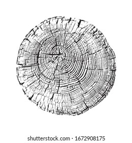 Aged round piece of tree wood with texture cracks and growth rings