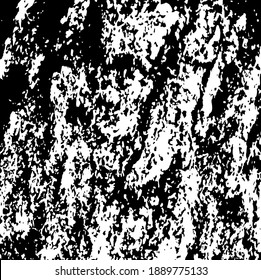 Corteza de árbol envejecida, cierra. Elementos de diseño blanco sobre fondo de color negro, ilustración vectorial. 