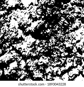 Aged tree bark, close up. White design elements on black colour background, vector illustration. 