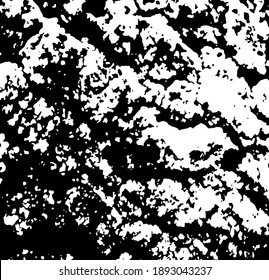 Aged tree bark, close up. White design elements on black colour background, vector illustration. 