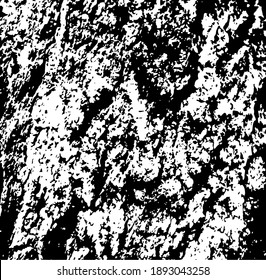 Aged tree bark, close up. White design elements on black colour background, vector illustration. 