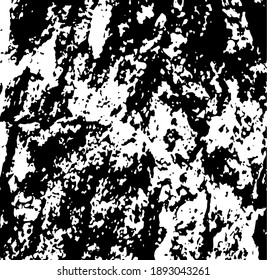 Corteza de árbol envejecida, cierra. Elementos de diseño blanco sobre fondo de color negro, ilustración vectorial. 