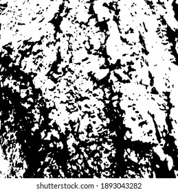 Aged tree bark, close up. White design elements on black colour background, vector illustration. 