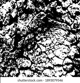 Aged tree bark, close up. White design elements on black colour background, vector illustration. 