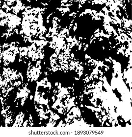 Aged tree bark, close up. White design elements on black colour background, vector illustration. 