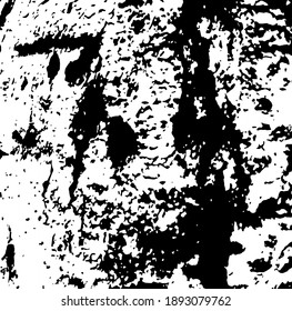 Aged tree bark, close up. White design elements on black colour background, vector illustration. 