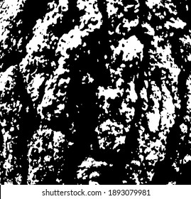 Aged tree bark, close up. White design elements on black colour background, vector illustration. 