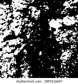 Aged tree bark, close up. White design elements on black colour background, vector illustration. 