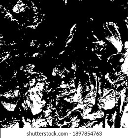 Corteza de árbol envejecida, cierra. Elementos de diseño blanco sobre fondo de color negro, ilustración vectorial. 