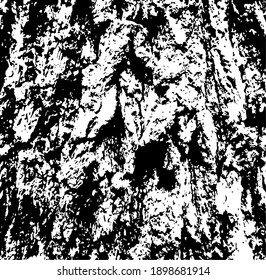 Aged tree bark, close up. White design elements on black colour background, vector illustration. 