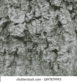 Aged tree bark. Design element.  Color vector illustration.