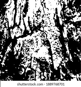 Aged tree bark with many cracked elements on. Design element.  Vector illustration.