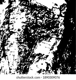 Aged tree bark with many cracked elements on. Design element.  Vector illustration.