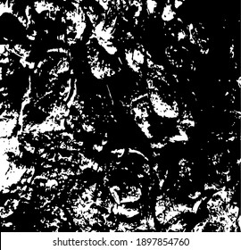 Aged tree bark with many cracked elements on. Design element.  Vector illustration. 