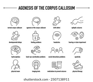 Agenesis Of The Corpus Callosum symptoms, diagnostic and treatment vector icons. Line editable medical icons.