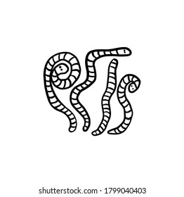 aggots, worms. helloween. Hand drawn vector illustration. Retro style ink sketch