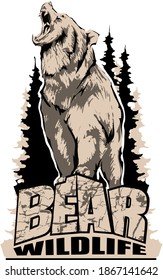 Aggressive, angry bear emblem logo. Design for t-shirts. Vector image.