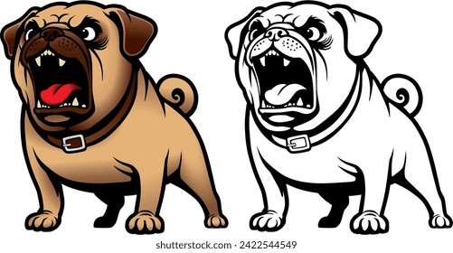 aggressive barking dog pug breed in a collar.