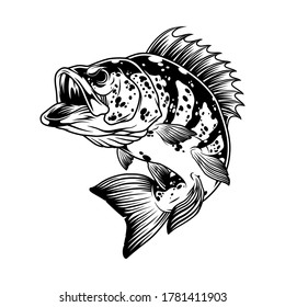 Aggressive bass fish monochrome template in vintage style isolated vector illustration