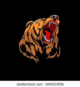 aggressive bear grizzly head vector design
