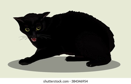 Aggressive black cat with green eyes is angry. Favorite pets. Realistic vector illustration.