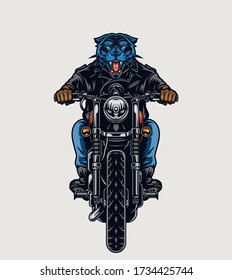 Aggressive black panther head biker riding motorcycle in vintage style isolated vector illustration