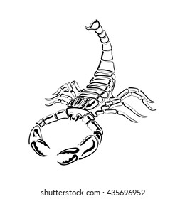 Aggressive black and white Scorpion for tattoos, zodiac sign. Made with a predominance of white. Vector illustration