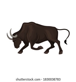 Aggressive Bull with Horns as Animal for Spanish Corrida Vector Illustration