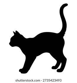 Aggressive Cat Raise Tail Black Silhouette