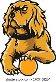 Aggressive Cocker Spaniel Dog Lying with A Ball
