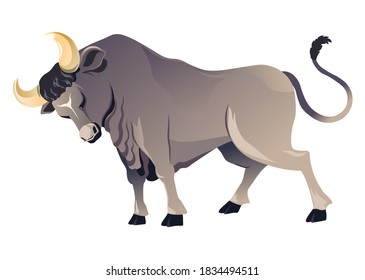 Aggressive and dangerous bull with sharp strong horns. Angry buffalo with fierce expression on muzzle. Corrida or bullfight, wild animal in zoo or farm. Domestic mammal, vector in flat style