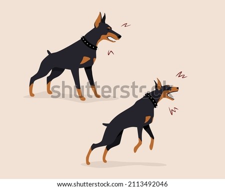 Aggressive doberman guard dog pets