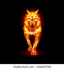 Aggressive Fire Woolf. Concept Image of a Red Wolf and Flame on a Black