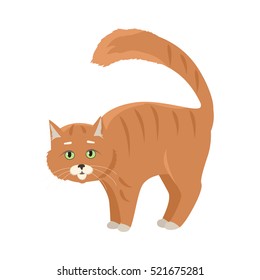 Aggressive or frightened red cat with arched back flat vector illustration isolated on white background. Domestic animal emotions and behavior. For pet shop ad, animalistic hobby concept, breeding