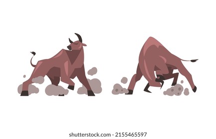 Aggressive furious muscle bulls attacking cartoon vector illustration
