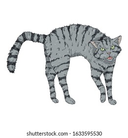 Aggressive Gray Striped Cat. Vector Cartoon Illustration