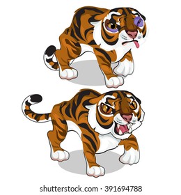 Aggressive hitter, and beaten the tiger. Vector illustration.