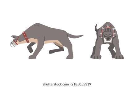 Aggressive Large Dog in Collar Baring Its Teeth in Angry Grin Vector Set