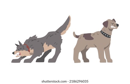 Aggressive Large Dog in Collar Baring Its Teeth in Angry Grin Vector Set