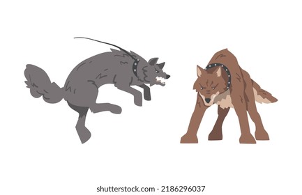 Aggressive Large Dog in Collar Baring Its Teeth in Angry Grin Vector Set