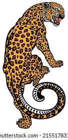 Aggressive leopard climbing up. Angry spotted panther. View from the back and head turned. Tattoo style vector illustration