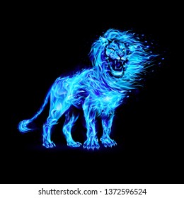 Aggressive Lion in Blue Flames. Illustration on Black Background for Creative Designs