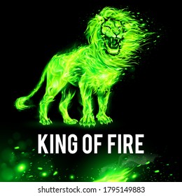 Aggressive Lion in Flames. Concept Image with Realistic Green Fire Flames Effect on Black Background for Creative Designs