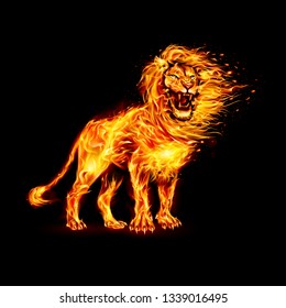 Featured image of post Fire Lion Wallpaper Hd Awesome lion wallpaper for desktop table and mobile
