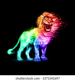 Aggressive Lion in Rainbow Flames. Illustration on Black Background for Creative Designs