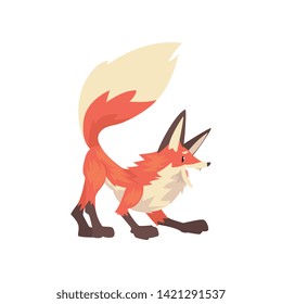 Aggressive Red Fox Character Cartoon Vector Illustration