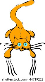 Aggressive ruddy cat