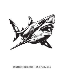 Aggressive Shark Opening Its Mouth Wide vector illustration, A black and white line drawing of a shark  open mouth